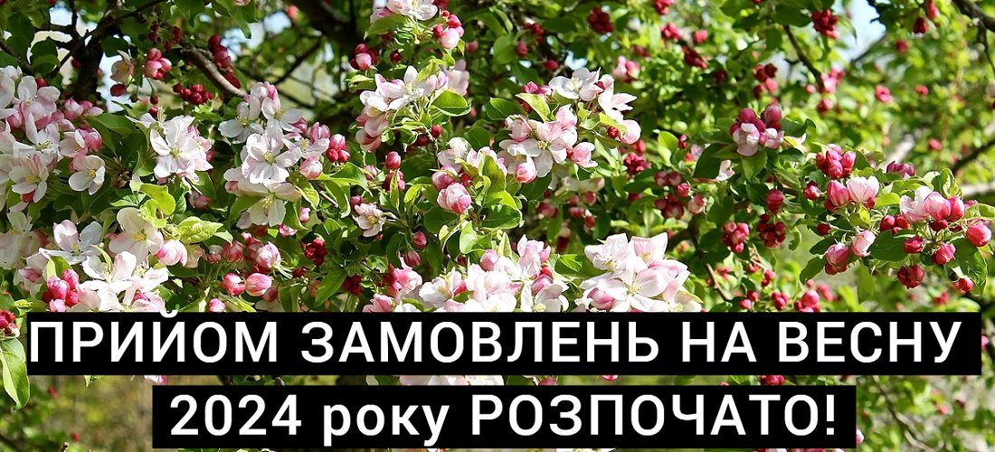 Сад Растений - Интернет магазин саженцев | Купить саженцы в питомнике